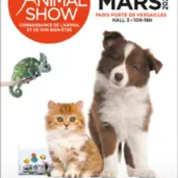 Exposition Internationale Féline de Paris FRANCE