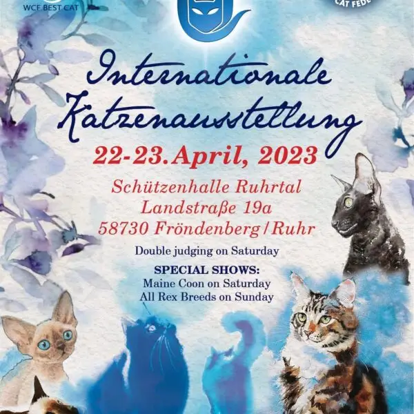 Exposition Internationale Féline de Frondenberg ALLEMAGNE