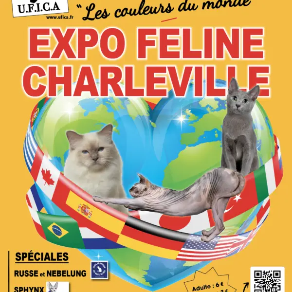 Exposition Internationale Féline de Charleville-Mézière FRANCE Spéciale d’élevage Sphynx