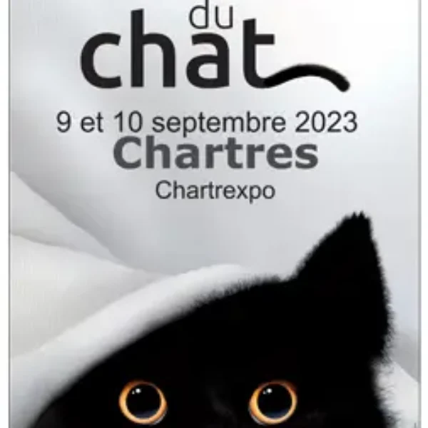 Exposition Internationale Féline de Chartre