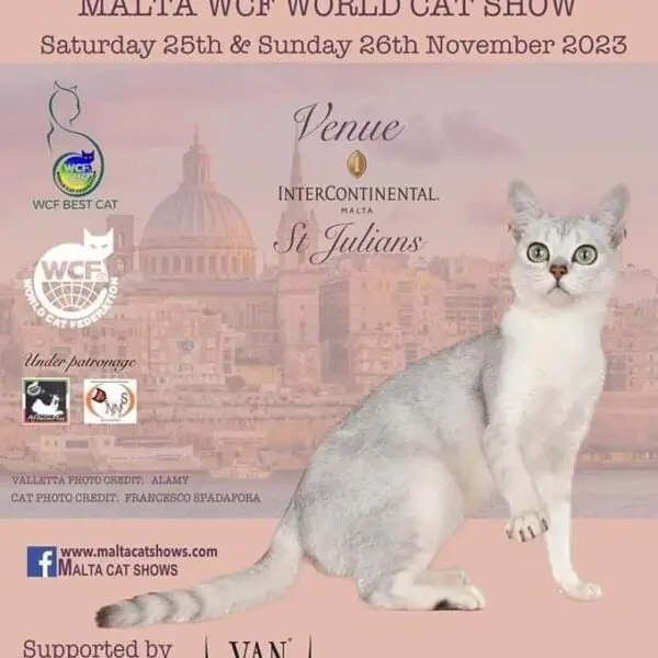 Exposition Internationale Féline MALTE (Mondiale WCF)