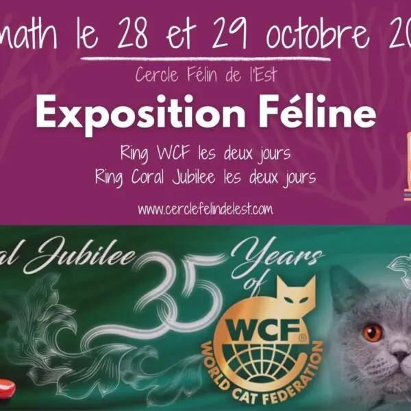 Exposition Internationale Féline de Brumath (CORAL WCF)